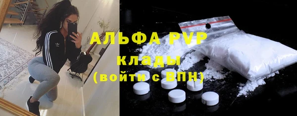 PSILOCYBIN Беломорск