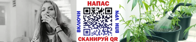 как найти   OMG   Конопля тримм  Надым 